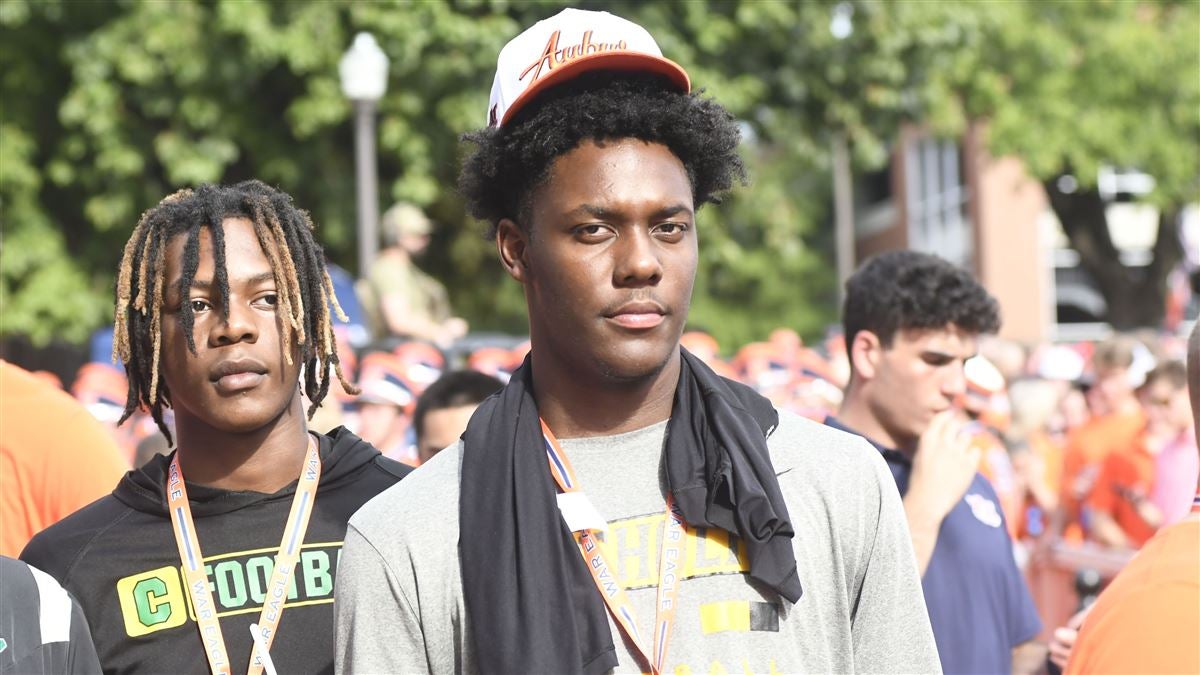 学的调节手 学的调节手