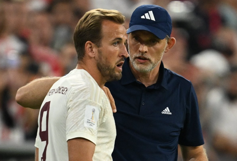 结合当地特 结合当地特