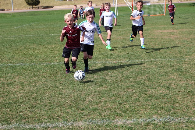 竞争对手 竞争对手