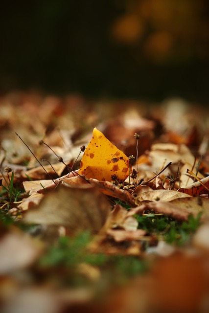 上海申花展 上海申花展